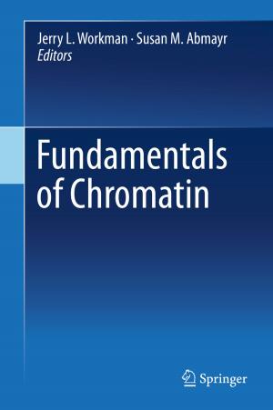 Cover of the book Fundamentals of Chromatin by Marcelo Hernán Cassini
