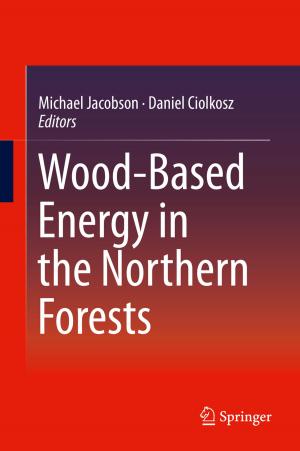 Cover of the book Wood-Based Energy in the Northern Forests by Attahiru Alfa