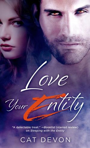 Cover of the book Love Your Entity by Steve Sullivan