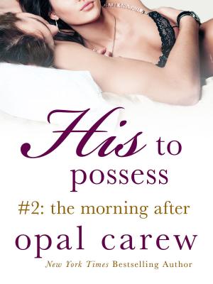 Cover of the book His to Possess #2: The Morning After by Alan Jackson, JoAnn Cianciulli