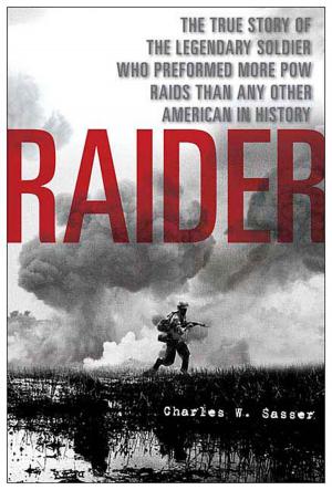 Cover of the book Raider by Beatrice Hohenegger