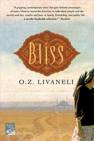 Cover of the book Bliss by Patrick Ouellet
