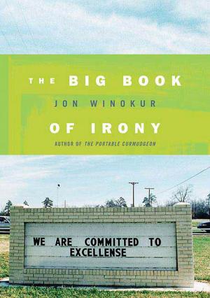Book cover of The Big Book of Irony