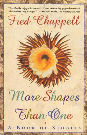 Cover of the book More Shapes Than One by Lacey Wolfe
