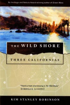 Cover of the book The Wild Shore by Doug Bowman
