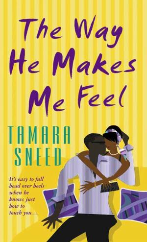Book cover of The Way He Makes Me Feel