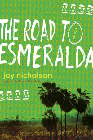 Cover of the book The Road to Esmeralda by Julie Cross