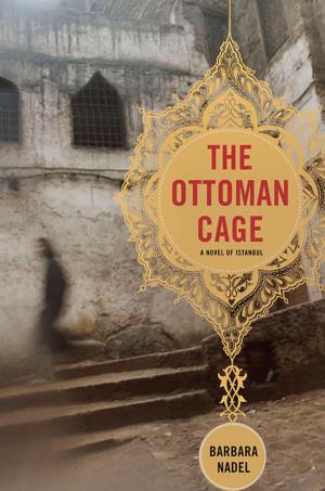Cover of the book The Ottoman Cage by Cheryl Holt