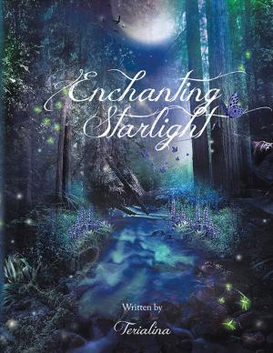 Cover of the book Enchanting Starlight by Jazz J