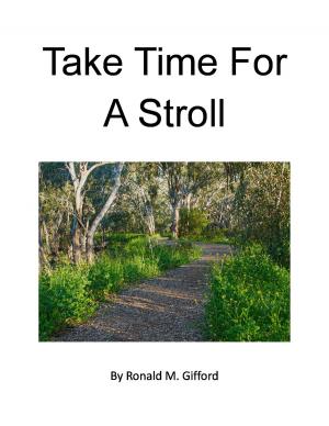 Book cover of Take Time For A Stroll