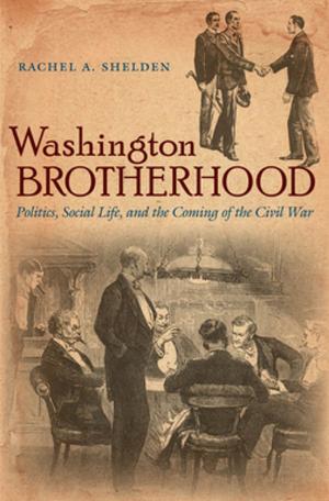 Cover of the book Washington Brotherhood by Cynthia A. Kierner