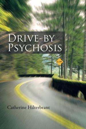 Cover of the book Drive-By Psychosis by Walter P. Thederahn