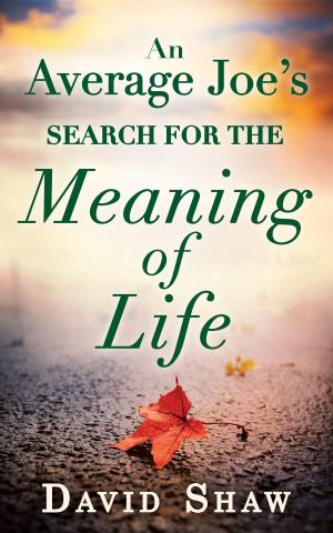 Cover of the book An Average Joe's Search For The Meaning Of Life by Rupert Colley