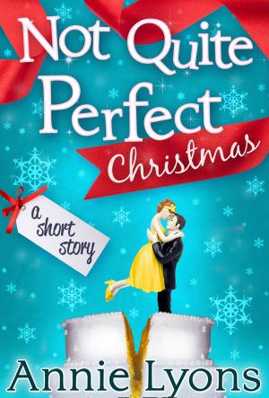 Cover of the book A Not Quite Perfect Christmas by Kate Colquhoun