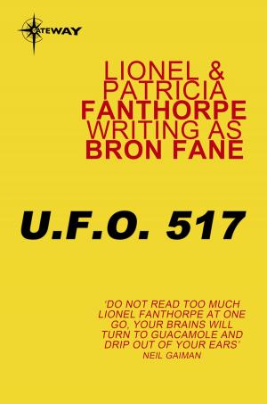 Cover of the book U.F.O. 517 by Michael Scott Rohan