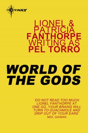 Cover of the book World of the Gods by Barry Gornell