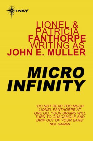 Cover of the book Micro Infinity by E.C. Tubb