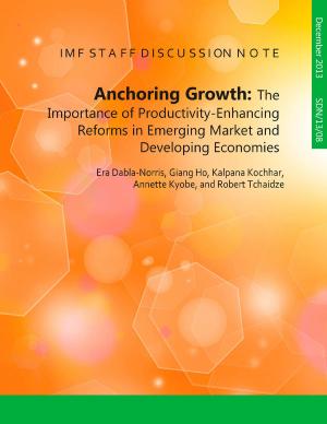 Book cover of Anchoring Growth: The Importance of Productivity-Enhancing Reforms in Emerging Market and Developing Economies