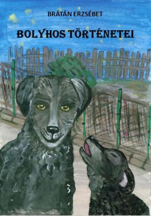 Book cover of Bolyhos történetei