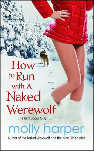Cover of the book How to Run with a Naked Werewolf by Abiola Abrams