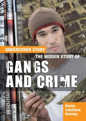 Cover of the book The Hidden Story of Gangs and Crime by Orli Zuravicky