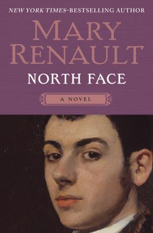 Cover of the book North Face by Stephen E. Ambrose