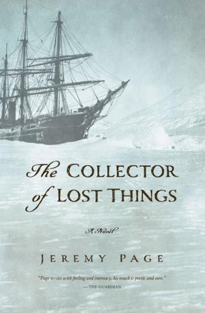 Cover of the book The Collector of Lost Things by John Suchet