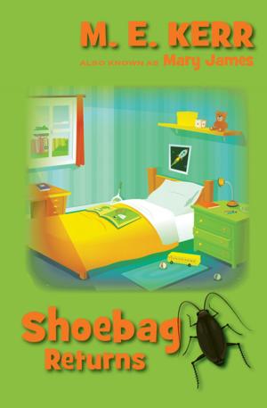 Cover of the book Shoebag Returns by Sasha Miller, Andre Norton, Patricia Mathews