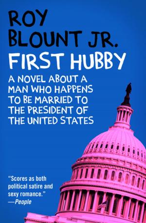 Book cover of First Hubby