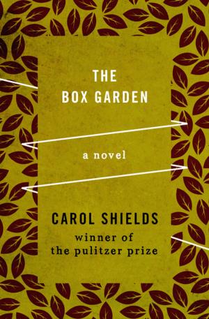 Book cover of The Box Garden