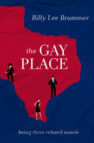 Cover of the book The Gay Place by George MacDonald