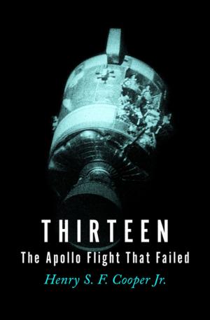 Cover of the book Thirteen by George Alec Effinger