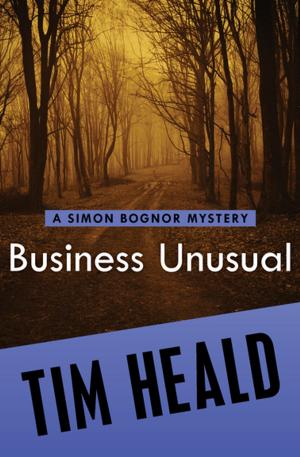 Cover of the book Business Unusual by Jennifer Oberth
