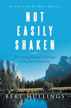 Cover of the book Not Easily Shaken by John Ashcroft-Jones
