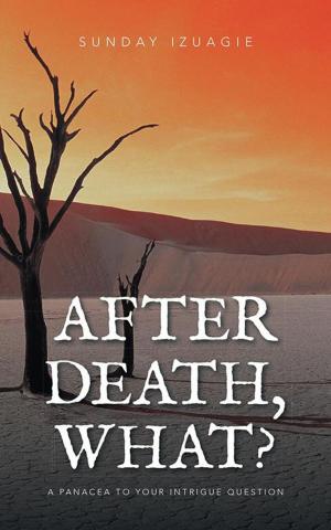 Cover of the book After Death, What? by Gaynor Cobb