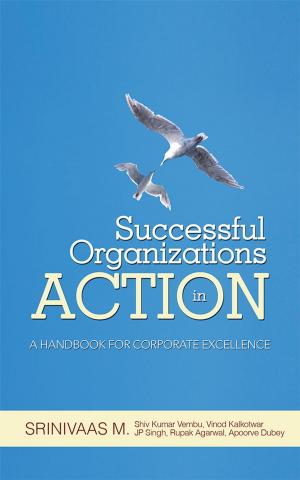 Cover of the book Successful Organizations in Action by Samanandha
