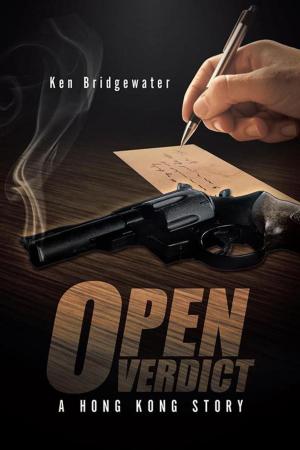 Cover of the book Open Verdict by Denice Jeffery