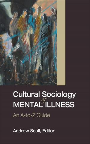 Cover of the book Cultural Sociology of Mental Illness by Dale W. Lick, Karl H. Clauset, Carlene U. Murphy