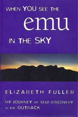 Book cover of When You See the Emu in the Sky