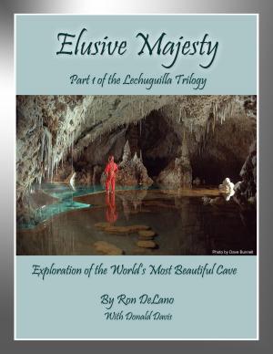 Cover of the book Elusive Majesty by Victor Breitburg, Joseph G. Krygier, Diana Kay Lubarsky, David Lubarsky