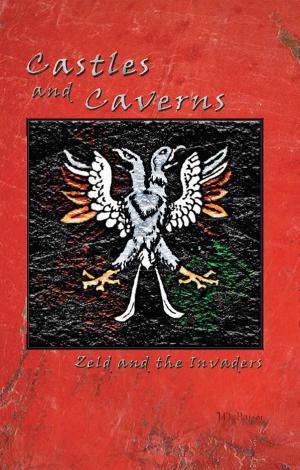 Cover of the book Castles and Caverns: Zeld and the Invaders by Alex C. Hughes