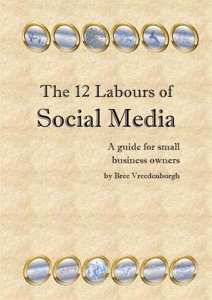 Cover of the book The 12 Labours of Social Media by Tommy Ray O'Dell