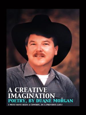 Book cover of A Creative Imagination