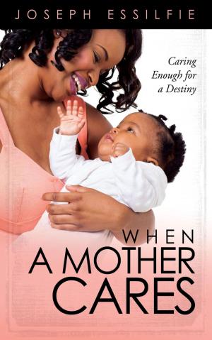 Cover of the book When a Mother Cares by Robert C. Huber