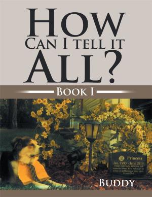 Cover of the book How Can I Tell It All? by Beverly Carry