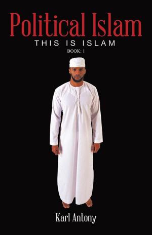 bigCover of the book Political Islam by 
