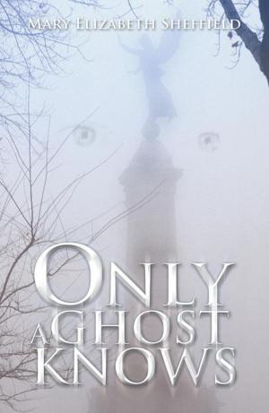 Cover of the book Only a Ghost Knows by Paul Peckerwood