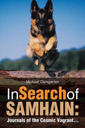 Cover of the book In Search of Samhain: by Jason H. King