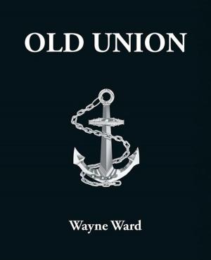 Cover of the book Old Union by Mahdi Ziaei
