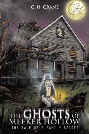 Cover of the book The Ghosts of Meeker Hollow by J. Daniel Harris